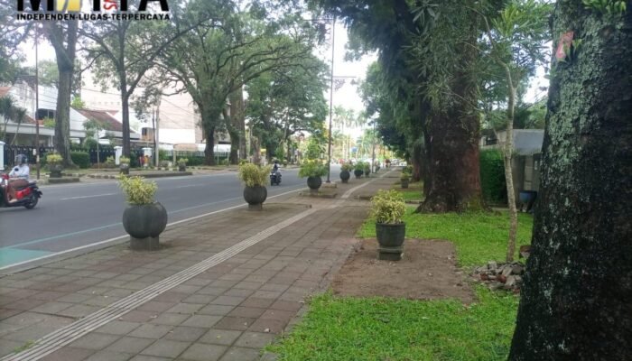 Keberadaan Kursi Taman Jalan Ijen, Penjelasan Kepala DLH Kota Malang