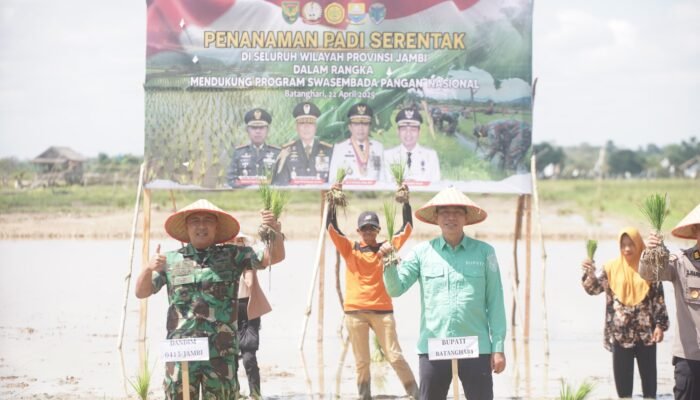 Bupati Fadhil Hadiri Tanam Padi Serentak Se Provinsi Jambi di Desa Senaning