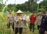 Kapolres Kapuas Hulu Cek Lahan Ketahanan Pangan, Ini Katanya!