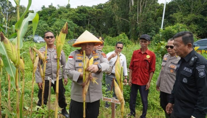 Kapolres Kapuas Hulu Cek Lahan Ketahanan Pangan, Ini Katanya!