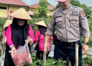 SPN Polda Jambi Panen Cabe, Dorong Kemandirian Pangan Lewat Pekarangan