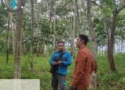 Dukung Pertumbuhan Ekonomi di OKU Selatan, BSB Cabang Muaradua Salurkan Bantuan Kredit 
