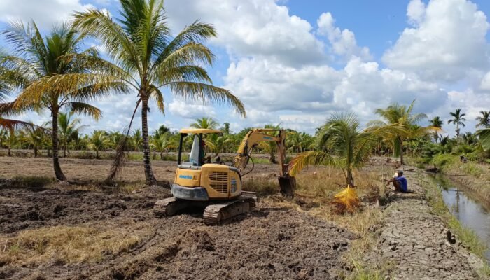 Babinsa dan Kelompok Tani Desa Sungai Purun Kecil Bahu Membahu Olah Lahan Pertanian 