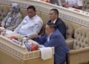 Wagub Sulbar Paparkan Permasalahan Pembangunan Daerah, Harap Revisi Alokasi Dana Transfer Pusat