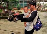 H+3 Lebaran Idul Fitri, Pengunjung Palembang Birdpark Meningkat 10 Persen