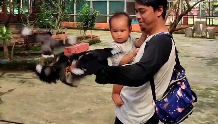 H+3 Lebaran Idul Fitri, Pengunjung Palembang Birdpark Meningkat 10 Persen
