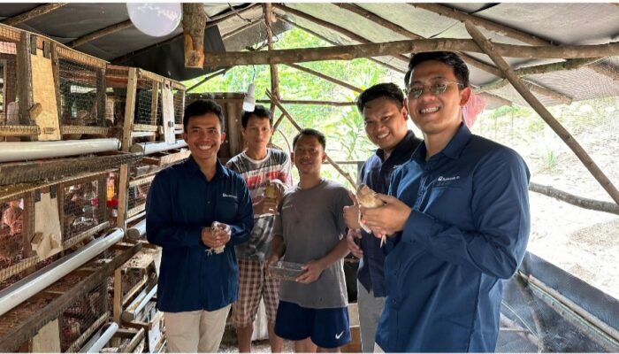 Didukung Bukit Asam (PTBA), Usaha Ternak Puyuh Ciptakan Lapangan Kerja Baru di Desa Seleman