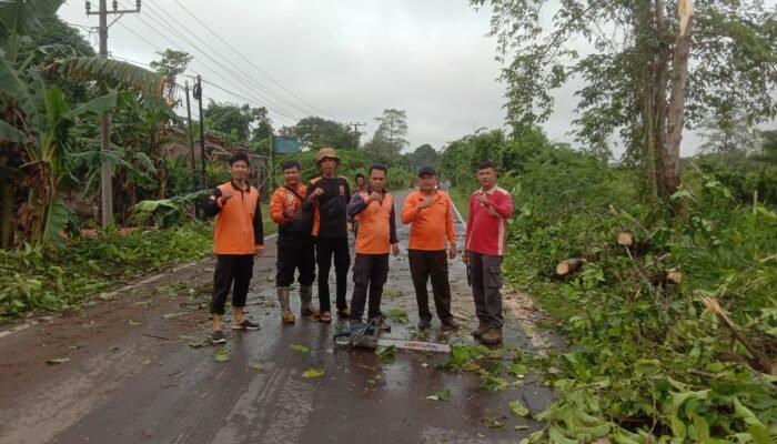 Tim Gabungan Bergerak Cepat Evakuasi Pohon Tumbang di Sekayu, Bupati HM Toha Apresiasi Respons Sigap