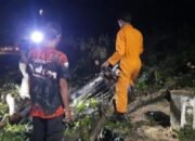 TRC BPBD Musi Rawas Evakuasi Pohon Tumbang di Desa Mataram Tugumulyo