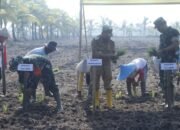 Dansatgas TMMD Ke-124 Mempawah, Danrem 121/Abw, Wakil Bupati dan Forkopimda Tanam Padi Bersama