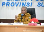 Tangkap Peluang Kenaikan Harga Kelapa, Disbun Sulbar: Tingkatkan Produksi dan Tambah Luas Areal Tanam