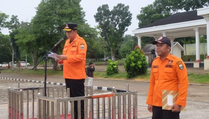 Sebagian Besar Lahan Gambut, Bupati Muaro Jambi Antisipasi Karhutla