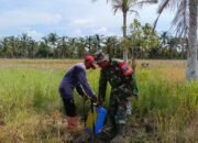 Babinsa Bantu Semprot Rumput Warga di Lokasi TMMD Reguler ke-124