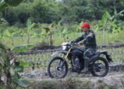 Dansatgas TMMD Jelajahi Demplot Ketahanan Pangan