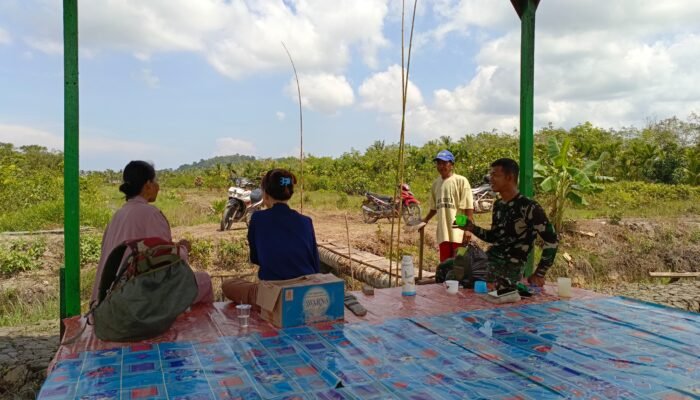 Warga Antar Makan Siang untuk Babinsa di Sawah, Wujud Kepedulian dan Kebersamaan di TMMD