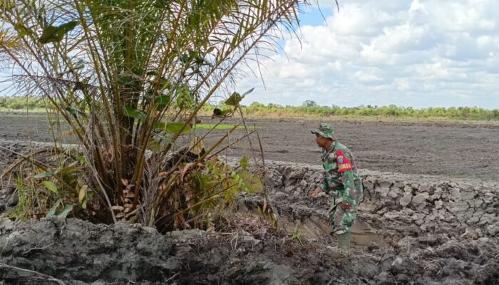 Semangat Babinsa dan Warga Bangun Ketahanan Pangan di Lokasi TMMD