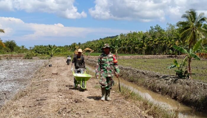 Sentuhan TMMD Mempawah, Petani Tak Lagi Berjuang Sendiri
