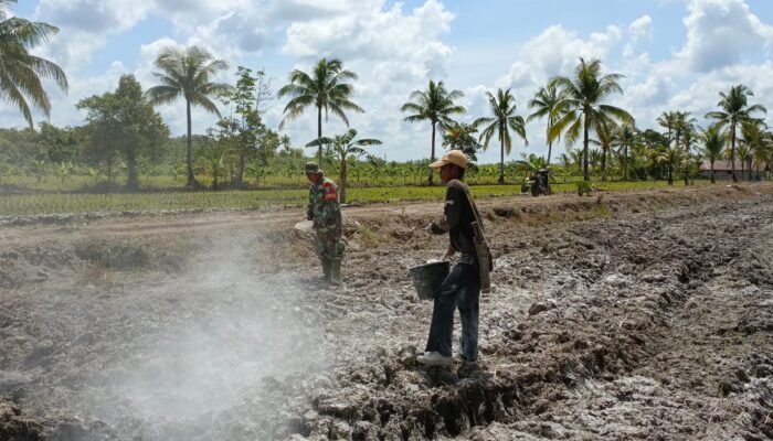 Langkah Tenang di Lahan Basah, Babinsa dan Petani Merawat Masa Depan Desa