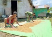 Satgas TMMD Reguler Kodim Mempawah Tunjukkan Kepedulian Membantu Pekerjaan Masyarakat