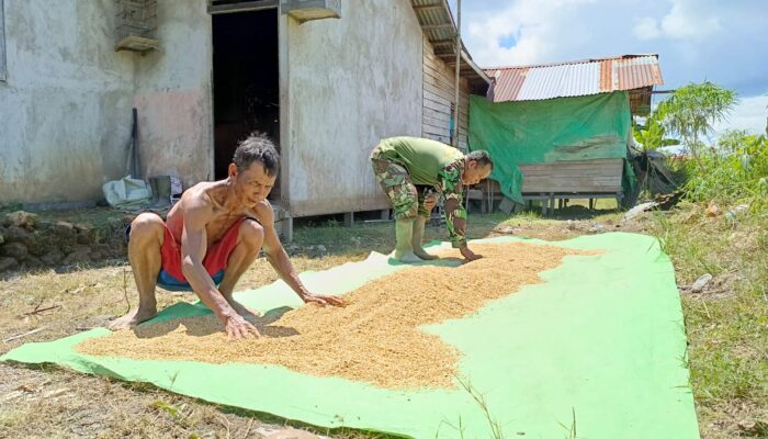 Satgas TMMD Reguler Kodim Mempawah Tunjukkan Kepedulian Membantu Pekerjaan Masyarakat