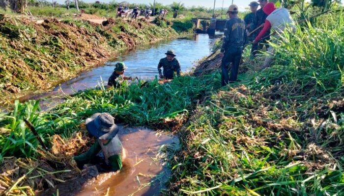 Satgas TMMD Reguler ke – 124 Bersama Masyarakat Bersihkan Gulma