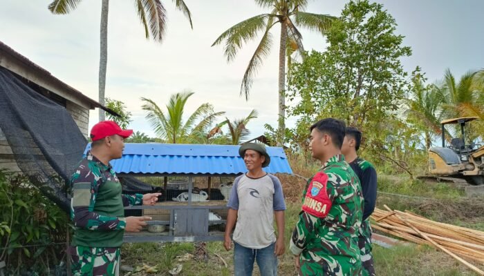 Dansatgas TMMD ke -124 Mempawah Optimis Program Kelinci Tingkatkan Ekonomi Rumah Tangga