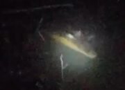 Kemunculan Buaya Sepanjang 4 Meter Resahkan Warga Perumahan Citra Tanah Mas