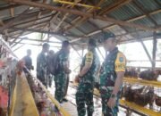 Tim Wasev Mabesad Tinjau Demplot Ketahanan Pangan TMMD Ke-124 di Mempawah