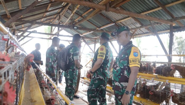 Tim Wasev Mabesad Tinjau Demplot Ketahanan Pangan TMMD Ke-124 di Mempawah
