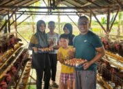 Dansatgas TMMD Mempawah Ajak Keluarga Kunjungi Demplot Ketahanan Pangan