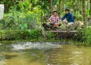 Bukit Asam (PTBA) Mendorong Transformasi Desa Lewat Usaha Budidaya Perikanan