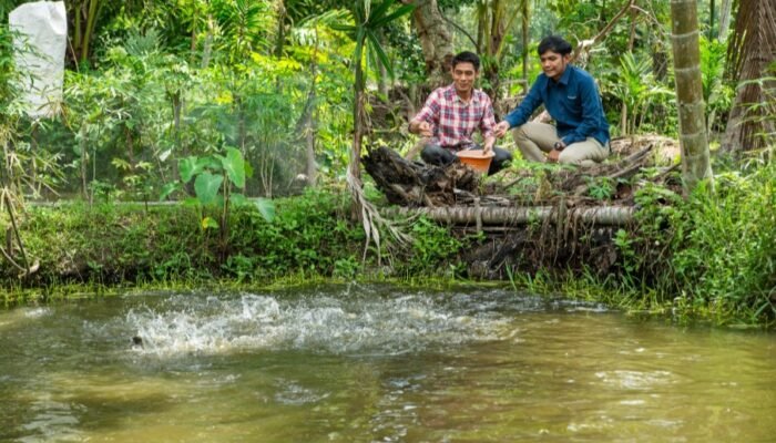 Bukit Asam (PTBA) Mendorong Transformasi Desa Lewat Usaha Budidaya Perikanan