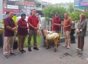 Sambut Idul Adha 1446 H, Lapas Jambi Terima Hewan Kurban dari BRI