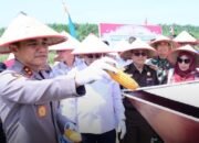Polda Jambi Panen 180 Ton Jagung: Bukti Nyata Sinergi Polri dan Petani