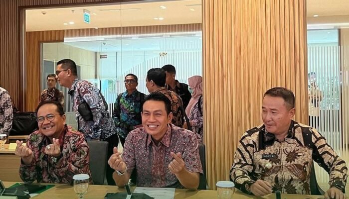 Bupati Batang Hari Hadiri Audiensi Kesehatan di Kemenkes