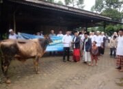 Wabup Muaro Jambi Solat Ied dan Serahkan Hewan Kurban di Masjid Baitus Sholihin