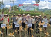 Dukung Swasembada Pangan 2025, Kapolres Tulungagung Bersama Bupati dan Forkopimda Panen Raya Jagung Serentak Kuartal II 