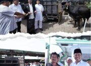 Bupati Karo Serahkan Sapi Kurban Presiden Prabowo ke Masjid Agung