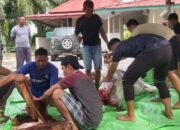 Kodim 1201/Mempawah Gelar Penyembelihan Hewan Kurban Untuk Warga