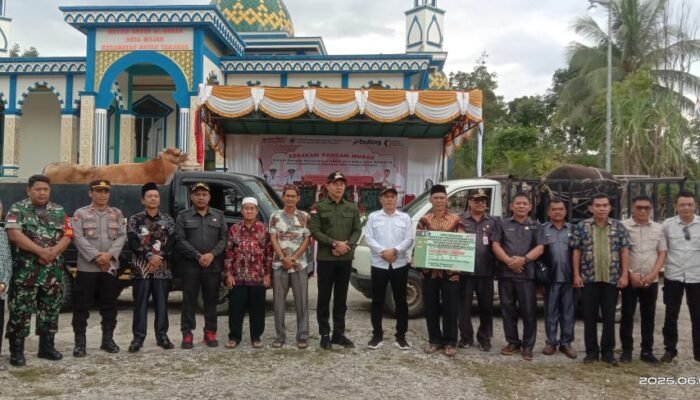 Bupati Kapuas Hulu Terima Sapi Qurban dari Presiden Prabowo