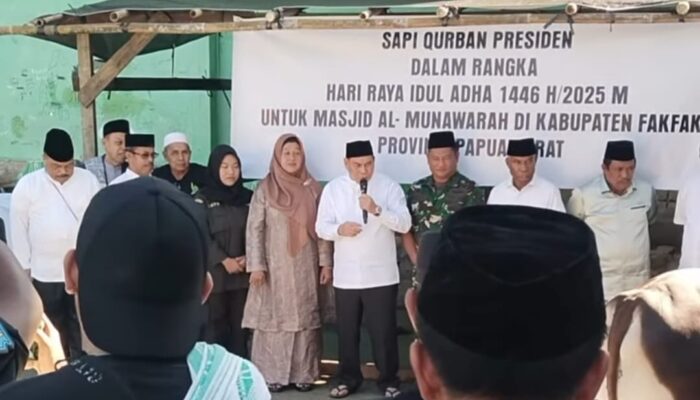 Bupati dan Wabup Fakfak Saksikan Langsung Penyembelihan Hewan Kurban Bantuan Presiden Prabowo