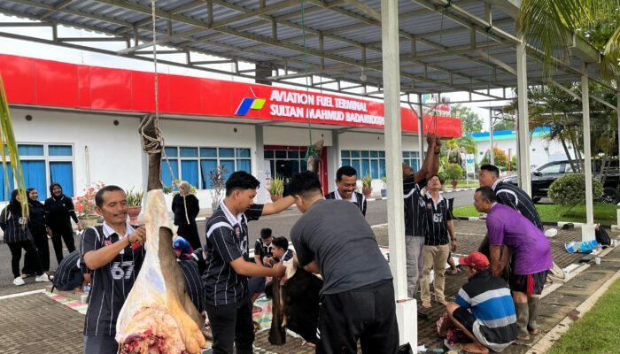 Pertamina Patra Niaga Regional Sumbagsel Salurkan 107 Ekor Hewan Qurban Idul Adha 1446 H