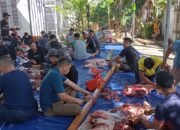 Keluarga Besar PN Palembang Sembelih 4 Ekor Sapi Qurban, Bagikan 350 Paket pada Warga Sekitar