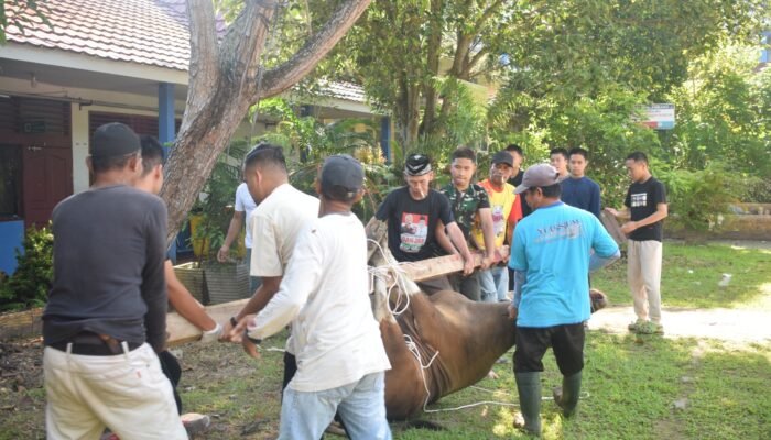 Agenda Tahunan Potong Kurban SMA Negeri 6 Palembang Berlangsung Sukses
