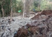 Stop PETI di Kawasan Hutan Lindung, Polsek Silat Hilir Kapuas Hulu Gencarkan Kampanye