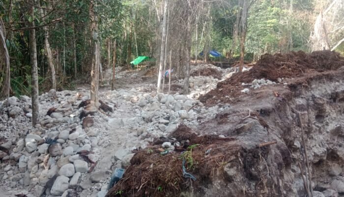 Stop PETI di Kawasan Hutan Lindung, Polsek Silat Hilir Kapuas Hulu Gencarkan Kampanye