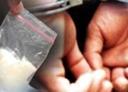Miliki Sabu, Dua Pemuda di Kedungwuni Pekalongan Dibekuk Polisi