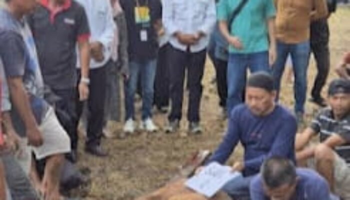 H.Arlan Bersama Manager Bank BSI Cabang Prabumulih Hadiri Pemotongan Hewan Kurban di RSUD