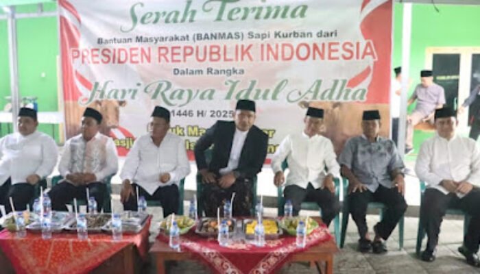 Sapi Kurban Bantuan Presiden Prabowo Untuk Pemkot Prabumulih Disalurkan ke Masjid Sirojul Islam Muntang Tapus