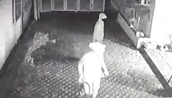 Ngeri! Curanmor Bercelurit di Palembang Terekam CCTV Gasak 2 Unit Motor